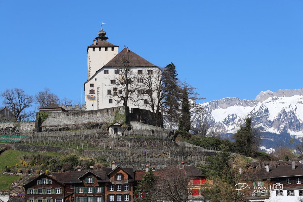 St.Gallen-Info