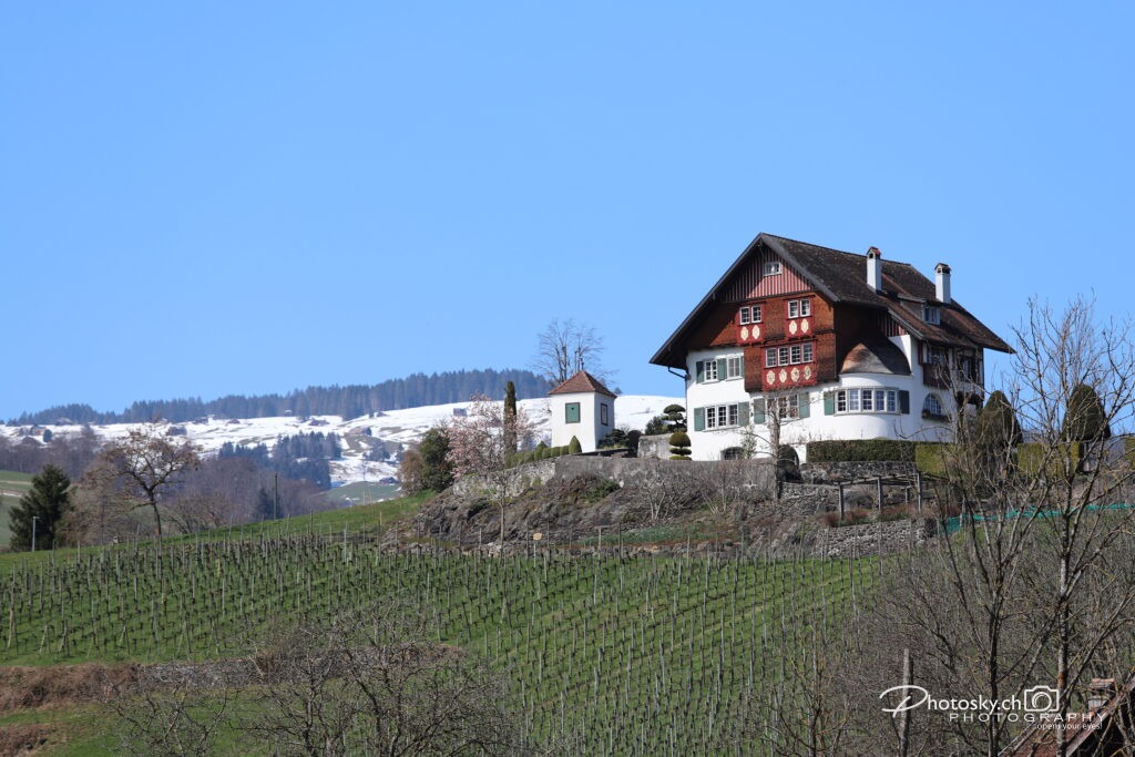 St.Gallen-Info