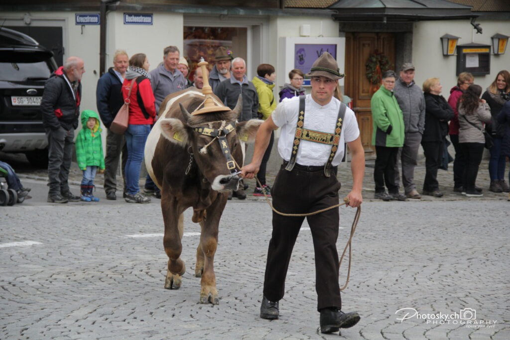 St.Gallen-Info