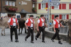 Viehmarkt Herisau