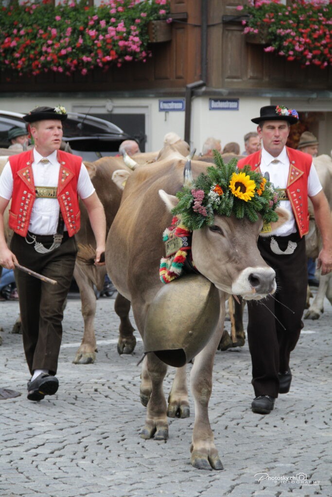 St.Gallen-Info