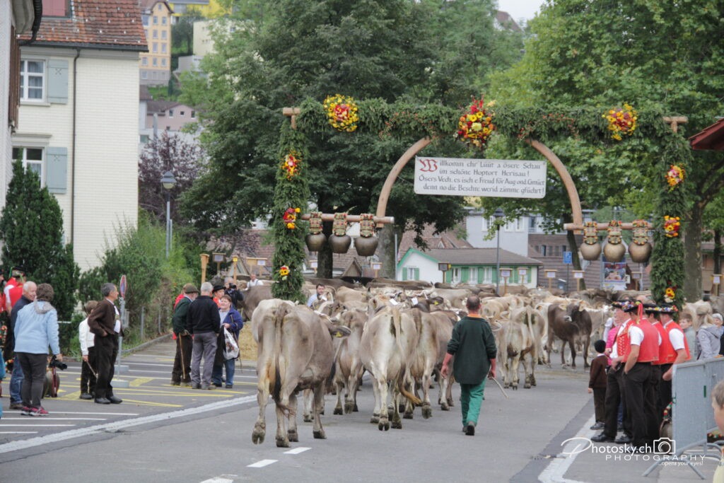 St.Gallen-Info