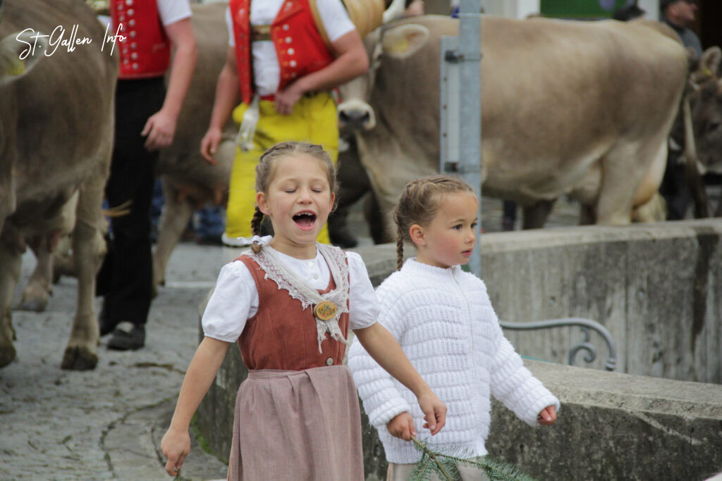 St.Gallen-Info